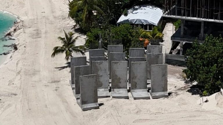 ގުޅީ ބަނދަރަށް ބޭނުންވާ އެއްގަމު ތޮށީގެ ބްލޮކްތަކުގެ ފުރަތަމަ ޝިޕްމަންޓް އެރަށަށް ގެންގޮސްފި