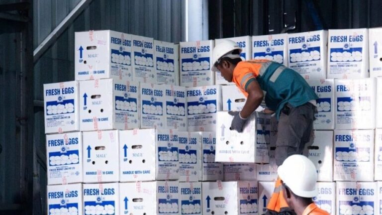 މިދިޔަ ހަފުތާގައި އެމްޕީއެލް އިން 1،594 ކޮންޓެއިނަރުގެ މުދާ ކްލިއާކޮށްފި