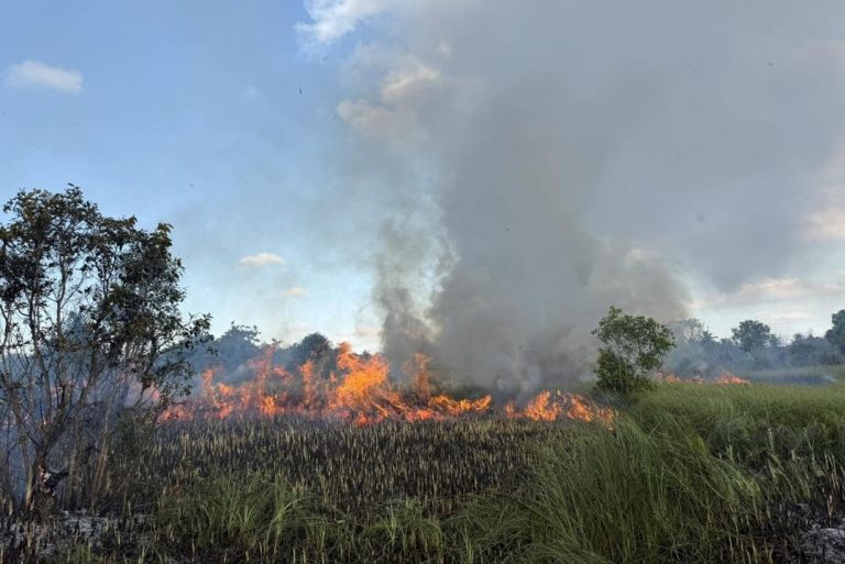 ފުވައްމުލަކު ދަނޑިމަގު ޗަސްބިން ސަރަހައްދުގައި ރޯވި އަލިފާން ނިއްވާލައިފި