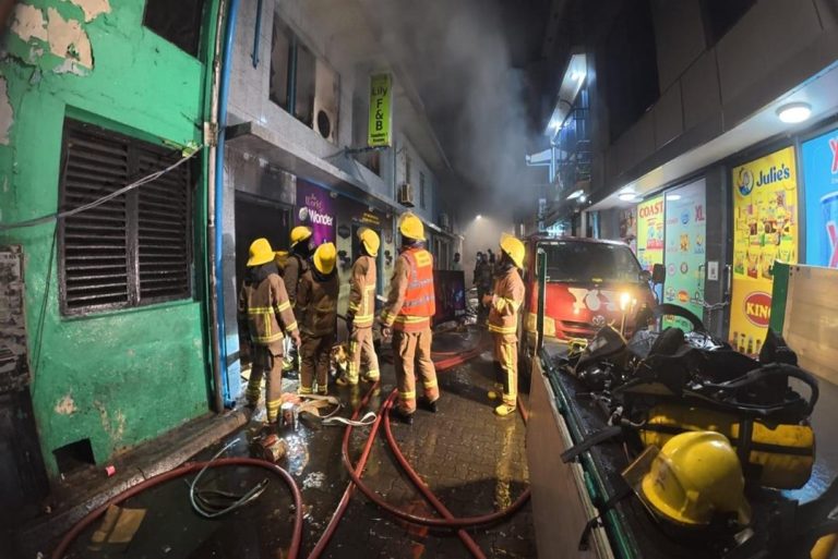 ލިލީ އެފް އެންޑް ބީ ސަޕްލަޔާޒް 1 ބާޒާރުގައި ރޯވި އަލިފާން ނިއްވައިލައިފި