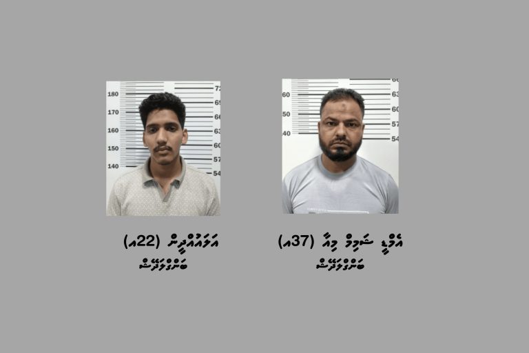 ޤަވާއިދާ ޚިލާފަށް ވިޔަފާރިކުރަމުންދިޔަ ދެ ބިދޭސީން ހުޅުމާލެއިން ހައްޔަރުކޮށްފި