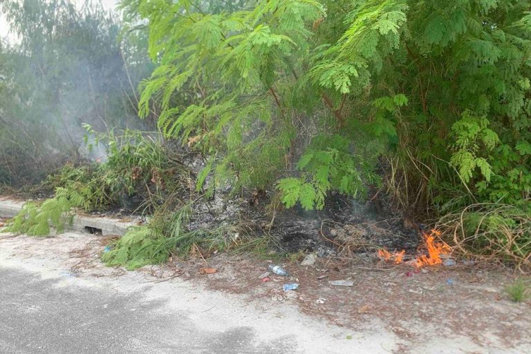 އައްޑޫ ސިޓީ ހިތަދޫ ވަލުތެރޭގައި ރޯވި އަލިފާން ނިއްވާލައިފި