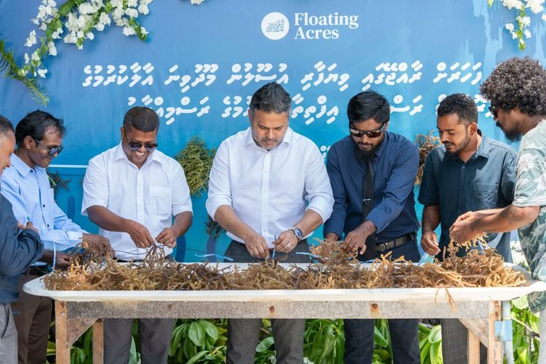 ފުރަތަމަ ފަހަރަށް ސީވީޑް އާލާކުރުމުގެ މަސައްކަތް ފަށައިފި