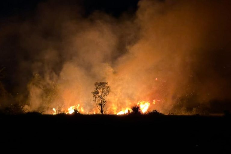 ފުވައްމުލަކު ފުނާޑު އަވަށު ޗަސްބިން ސަރަޙައްދުގައި އަލިފާން ރޯވެގެން ސިފައިން ހަރަކާތްތެރިވެއްޖެ