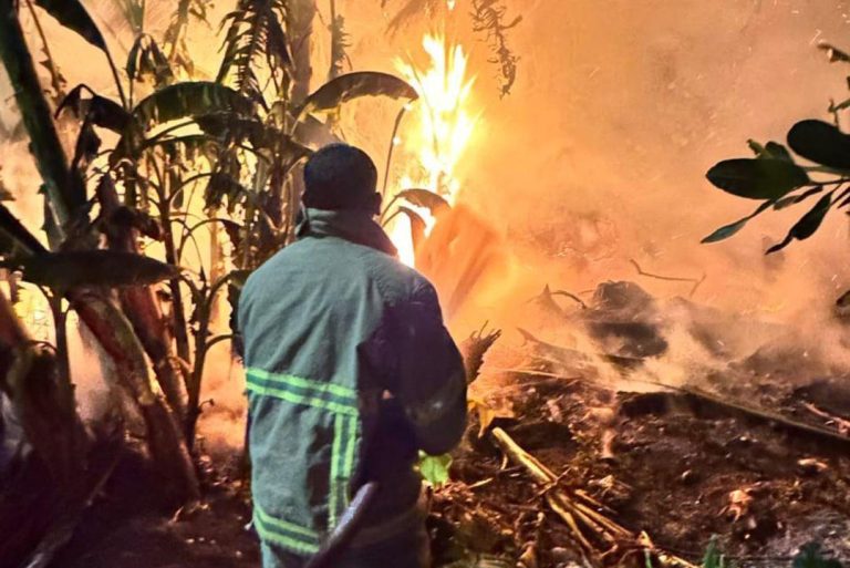 މީދޫ ފުޓްބޯޅަ ދަނޑު ކައިރި ހުރި ކުނިތަކެއްގައި ރޯވި އަލިފާން ނިއްވާލައިފި