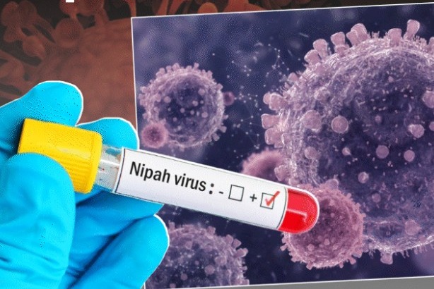 ނިޕާ ވައިރަސް: ރާއްޖެ އަށް ނުރައްކާ ކުޑަ، ދަނީ މޮނިޓަރ ކުރަމުން: އެޗްޕީއޭ