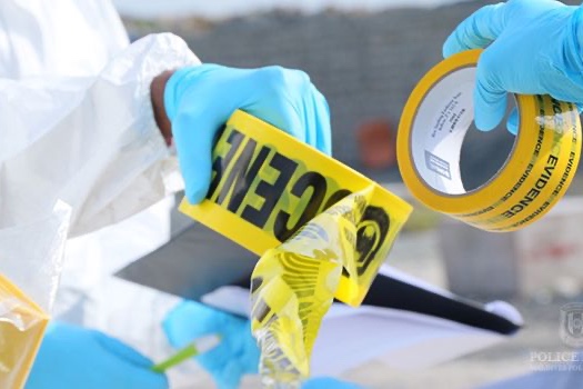 ދިގުރަށުން ގިނަ އަދަދެއްގެ ބަނގުރާ ހޯދައިފި