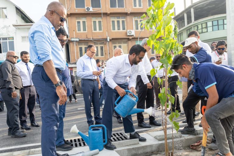 ބޮޑުތަކުރުފާނު މަގުގައި އަލަށް ތާރު އެޅި ސަރަހައްދުގައި ގަސް އިންދައިފި