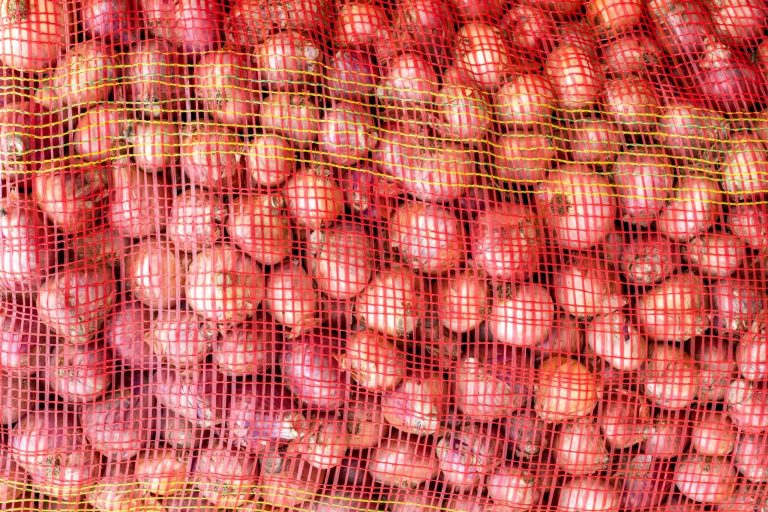 އެސްޓީއޯއިން ފިޔާ ކިލޯއެއް 10ރ. އަދި އަލުވި ކިލޯއެއް 12ރ. އަށް ވިއްކަނީ