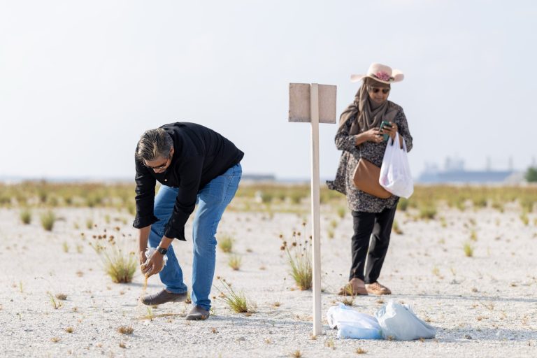 ހުޅުމާލެއިން ބިން ލިބުނު ކަމުގެ ލިޔުން ހެދި 12 މީހަކަށް ދަޢުވާކުރަނީ