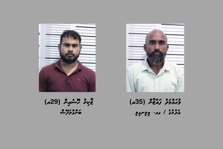 ކިލޯއަކަށްވުރެ ގިނަ މަސްތުވާތަކެއްޗާއެކު މާލެއިން ދެ މީހުން ހައްޔަރުކޮށްފި
