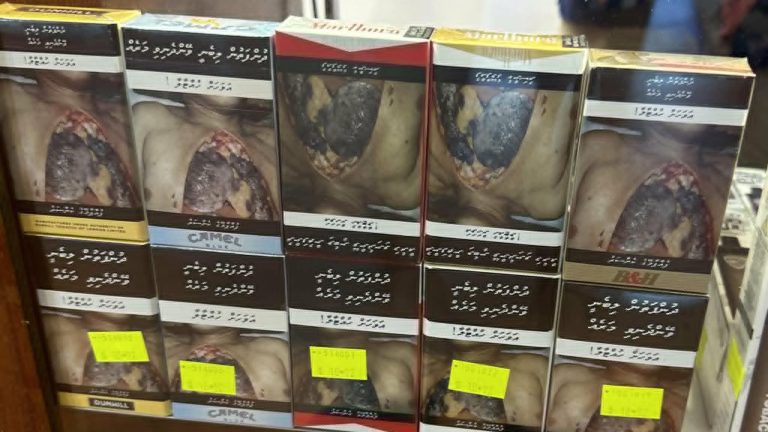 ސިނގިރޭޓު ޑިއުޓީ އަލުން ކުޑަކުރަން މަޖިލީހަށް ބިލެއް ހުށަހަޅައިފި