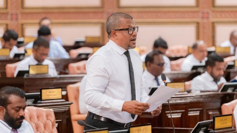 ނުކުޅެދުންތެރިކަން ހުންނަ މީހުންގެ އިނާޔަތް ލަސްވާ މައްސަލަ ބަލައިދިނުމަށް މަޖިލީހަށް ހުށަހަޅުއްވައިފި