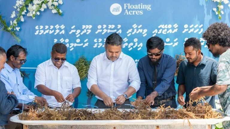 ރާއްޖެއިން މިހަަރު މަހަކު 63 ޓަނުގެ މޫދު ވިނަ އެކްސްޕޯޓު ކުރަމުންދޭ