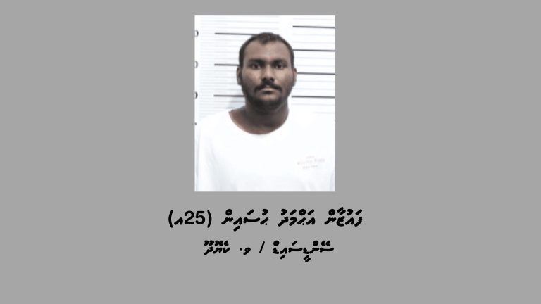 ކިލޯއަކަށްވުރެ ގިނަ މަސްތުވާތަކެތި ރާއްޖެ އެތެރެކުރިކަމުގެ ތުހުމަތުގައި މީހަކު ހައްޔަރުކޮށްފި