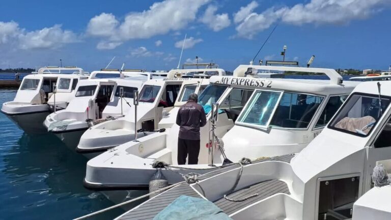 ޖުމްހޫރީ މައިދާން ސަރަހައްދުގެ ފަޅު ހުސްކުރުމަށް ސިޓީ ކައުންސިލުން އެދިއްޖެ