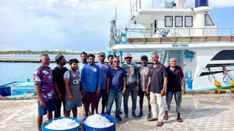މަސްވެރިންނަށް ކަނޑުއޮތްގިރިން އައިސް ވިއްކަން ފަށައިފި