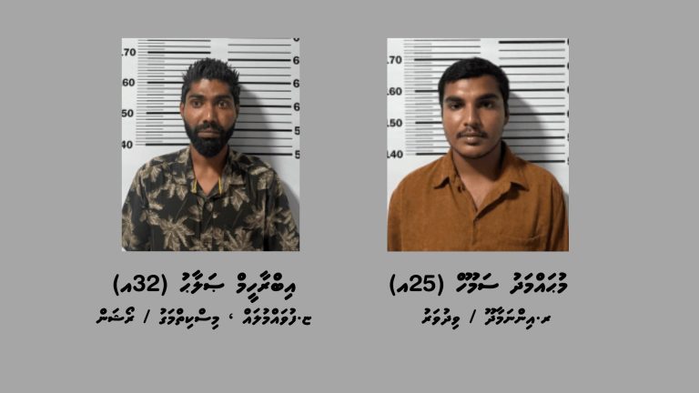 މަސްތުވާތަކެއްޗާއެކު ދުވާފަރުން ދެ މީހަކު ހައްޔަރުކޮށްފި