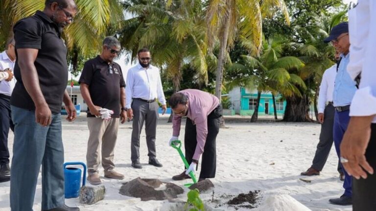 ފައިނުގައި ގަސް އިންދުމުގެ ޚާއްޞަ ހަރަކާތެއް ކުރިއަށްގެންގޮސްފި