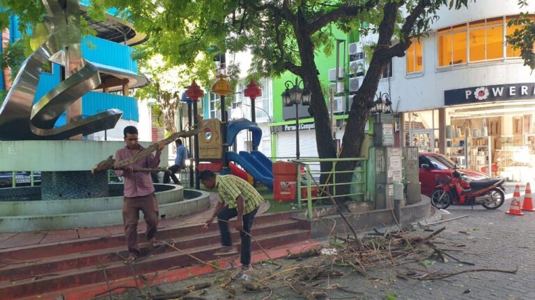 މާލޭގެ ރެސްޓޯރެންޓެއްގައި ހިނގި އަލިފާނުގެ ހާދިސާ އެމްއެންޑީއެފް އިން ނިއްވާލައިފި