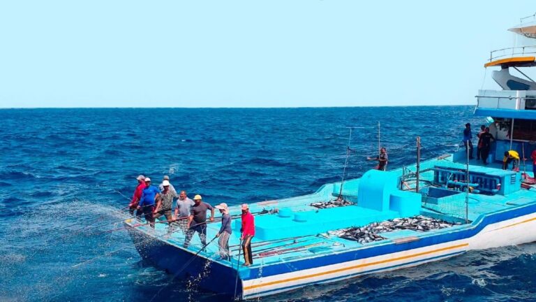 މިދިޔަ މަހު މަސްވެރިންނަށް 49.7 މިލިއަން ރުފިޔާ ދޫކޮށްފި