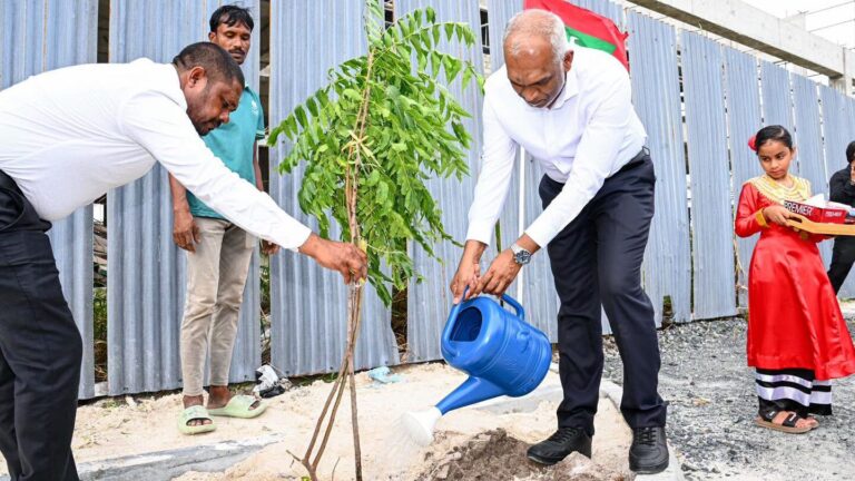 5 މިލިއަން ގަސް ޕްރޮގްރާމްގެ ދަށުން އުކުޅަހުގައި ގަސް އިންދައިފި