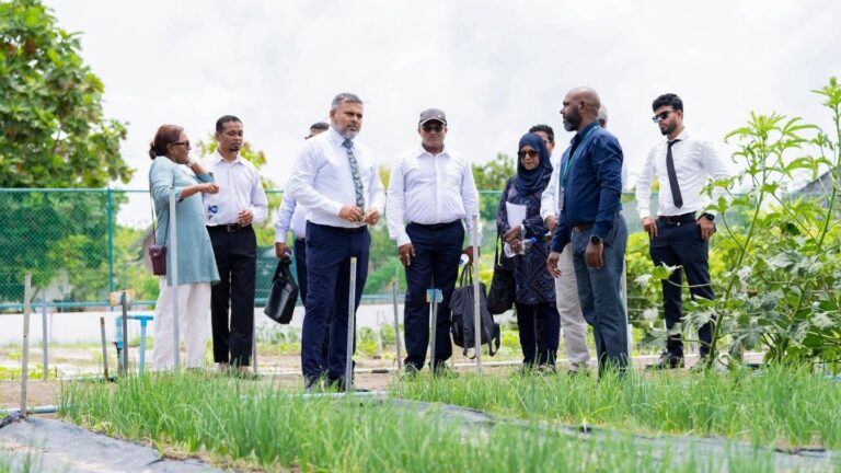ދިރިއުޅުން ނޫން ބޭނުންތަކަށް ކުރު މުއްދަތަށް ބިން ދޫކުރުމުގެ ގަވާއިދު އާންމުކޮށްފި