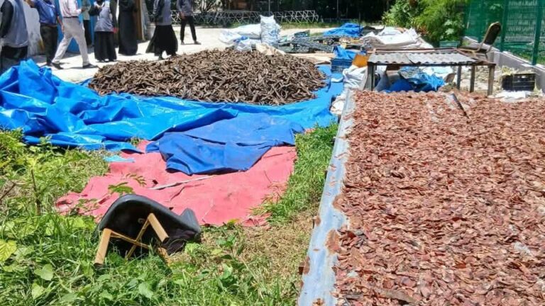 ވިލިމާލޭގައި ސިއްހީ މިންގަނޑާ ޚިލާފަށް މަސް ތައްޔާރުކުރާ ތަންތަން އިންސްޕެކްޓްކޮށްފި