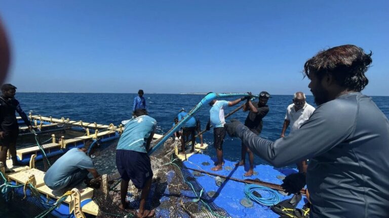 މެރިކަލްޗަރ ދާއިރާ ތަރައްގީ ކުރުމަށް ހާއްސަ އިތުރު 10 ޒޯން ކަނޑައަޅައިފި