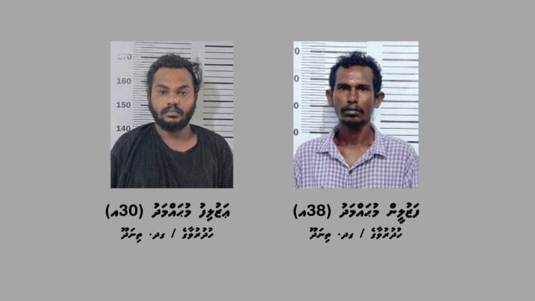 މަސްތުވާތަކެއްޗާއެކު ތިނަދޫން ދެ މީހުން ހައްޔަރުކޮށްފި