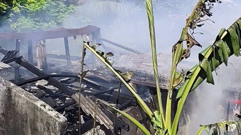 ށ.ފޯކައިދޫ ގެއެއްގައި މިއަދު އަލިފާނުގެ ހާދިސާ އެއް ހިނގައިފި