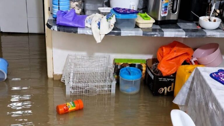 ވިއްސާރައިގައި ފޭދޫގެ 9 ގެއަކަށް ފެންވަދެ، އެއް ގެއިން އާއިލާއެއް ވަގުތީ ތަނަކަށް ބަދަލުކޮށްފި