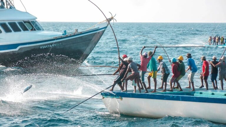 ތެލުގެ ސަބްސިޑީއަށް “ފަހިހަކަތަ” ޕޯޓަލް މެދުވެރިކޮށް އެދޭ ގޮތަށް ހަމަޖައްސައިފި